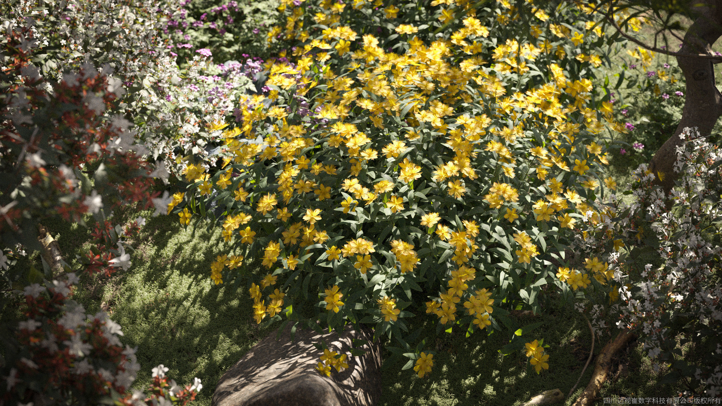 Maxtree Plant Models Vol 51 Low Poly - Mesh 3D model_1