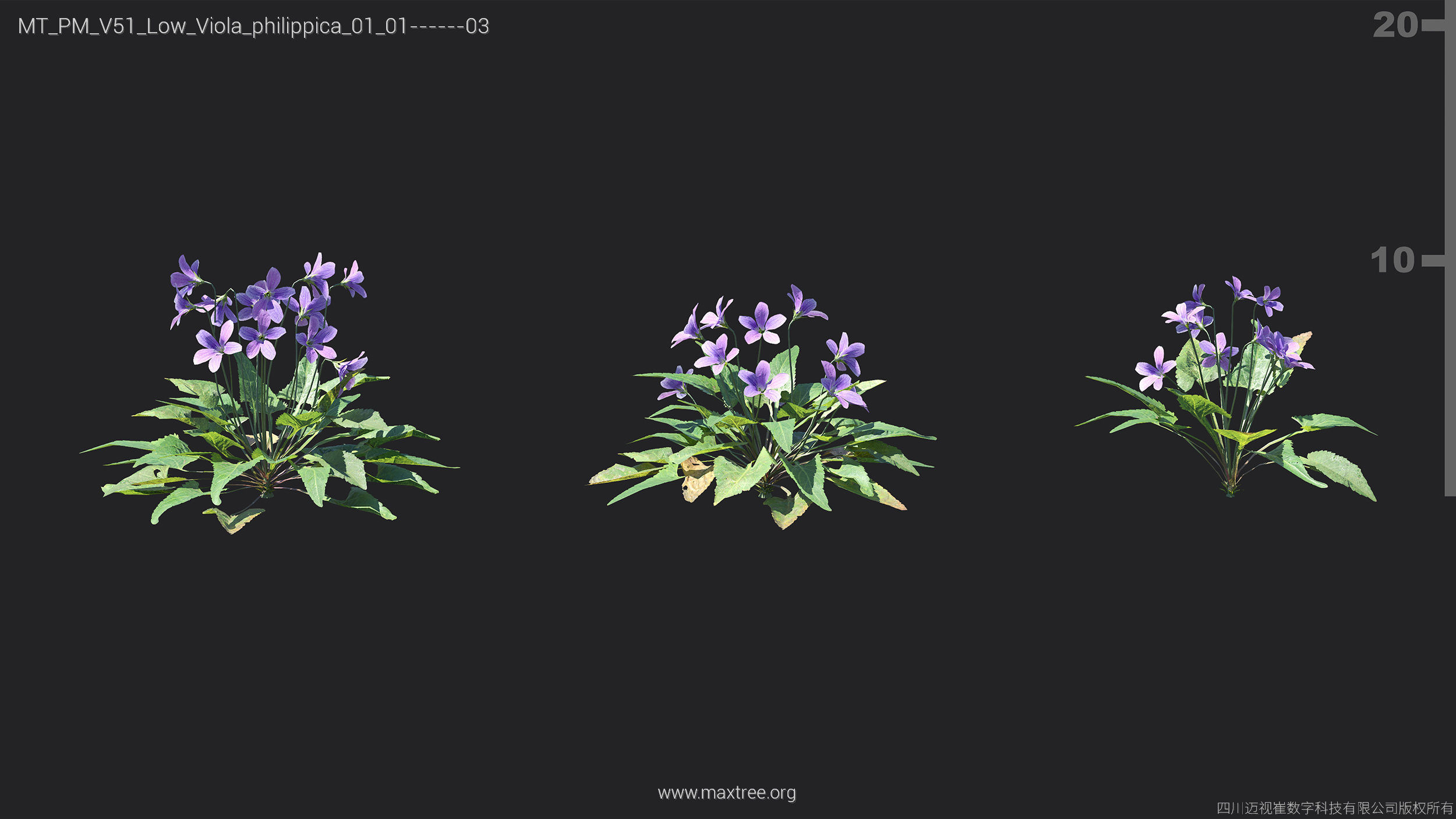 Maxtree Plant Models Vol 51 Low Poly - Mesh 3D model_22