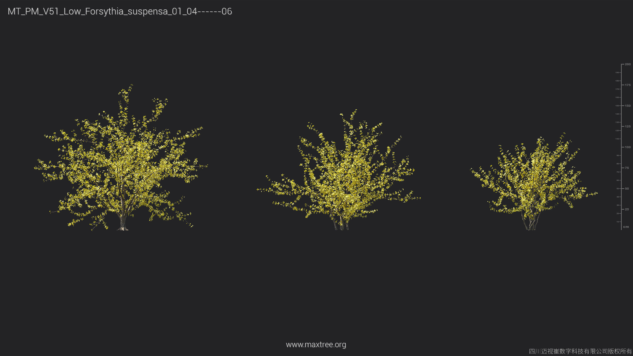 Maxtree Plant Models Vol 51 Low Poly - Mesh 3D model_11