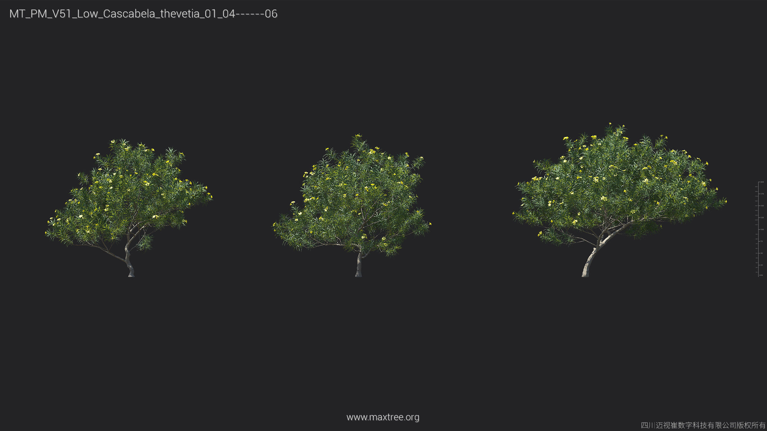 Maxtree Plant Models Vol 51 Low Poly - Mesh 3D model_8