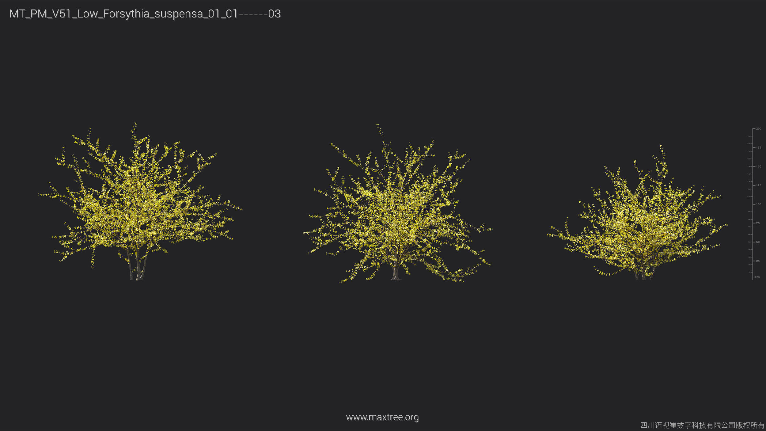 Maxtree Plant Models Vol 51 Low Poly - Mesh 3D model_17