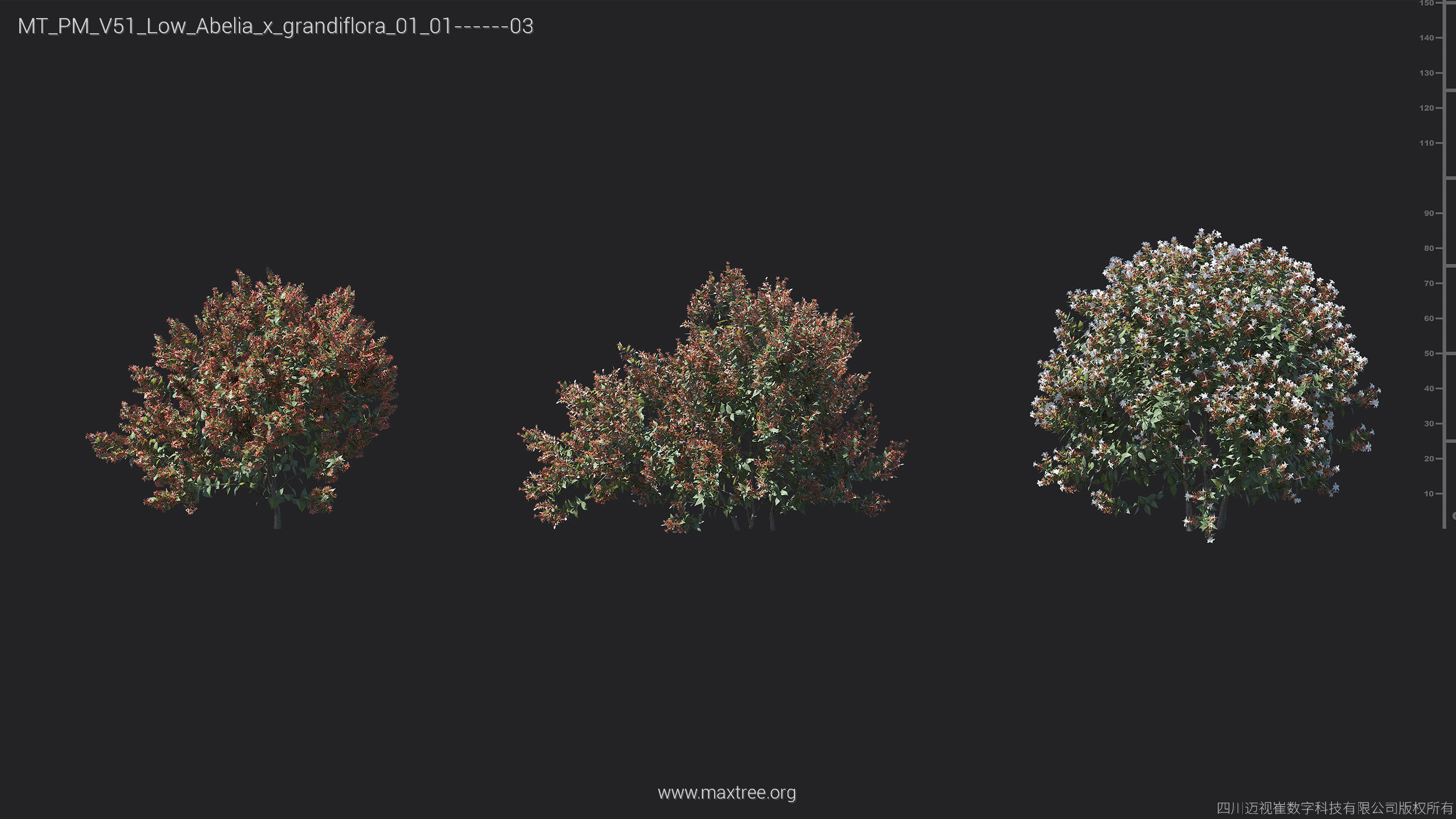Maxtree Plant Models Vol 51 Low Poly - Mesh 3D model_4