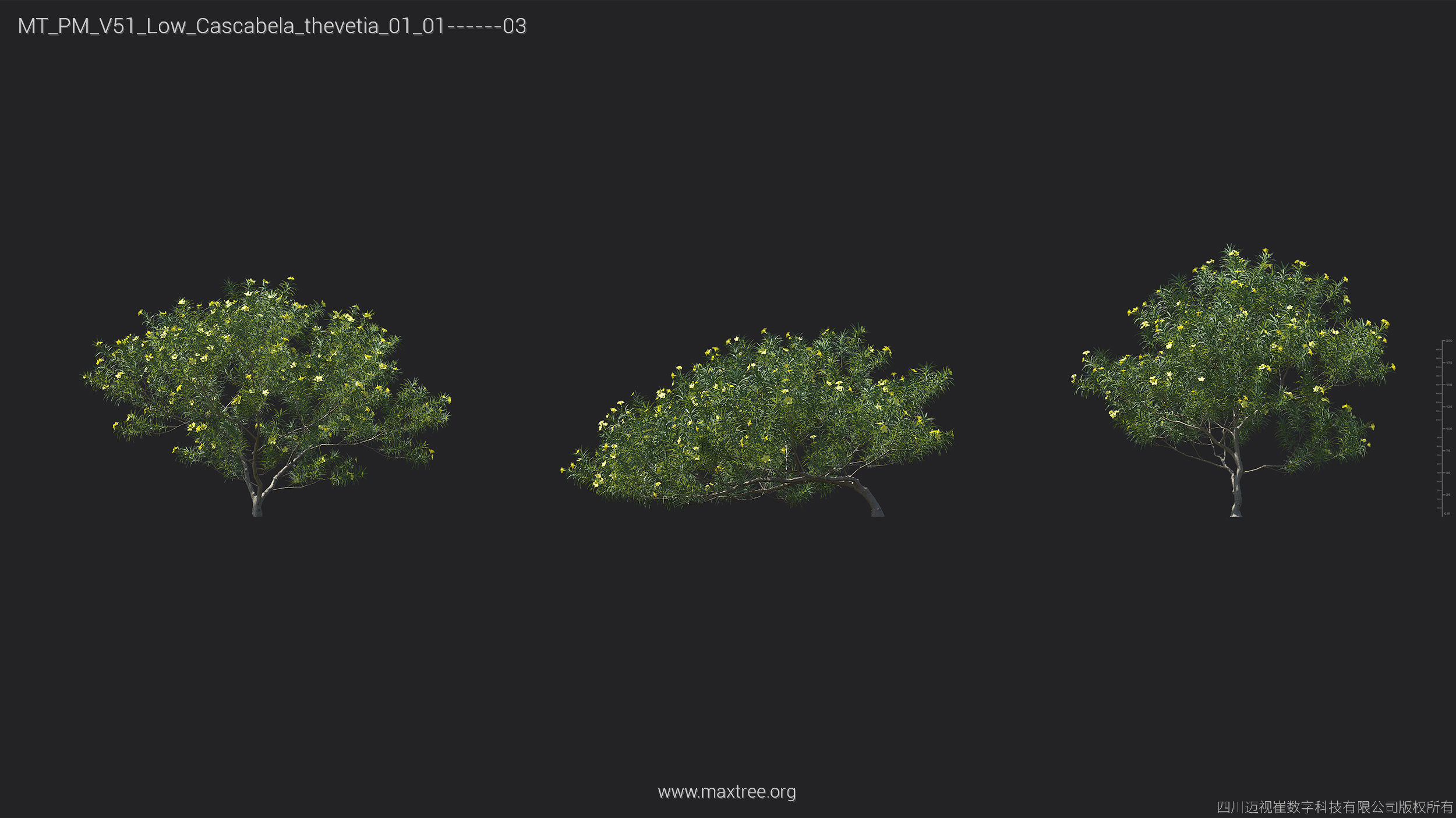 Maxtree Plant Models Vol 51 Low Poly - Mesh 3D model_9