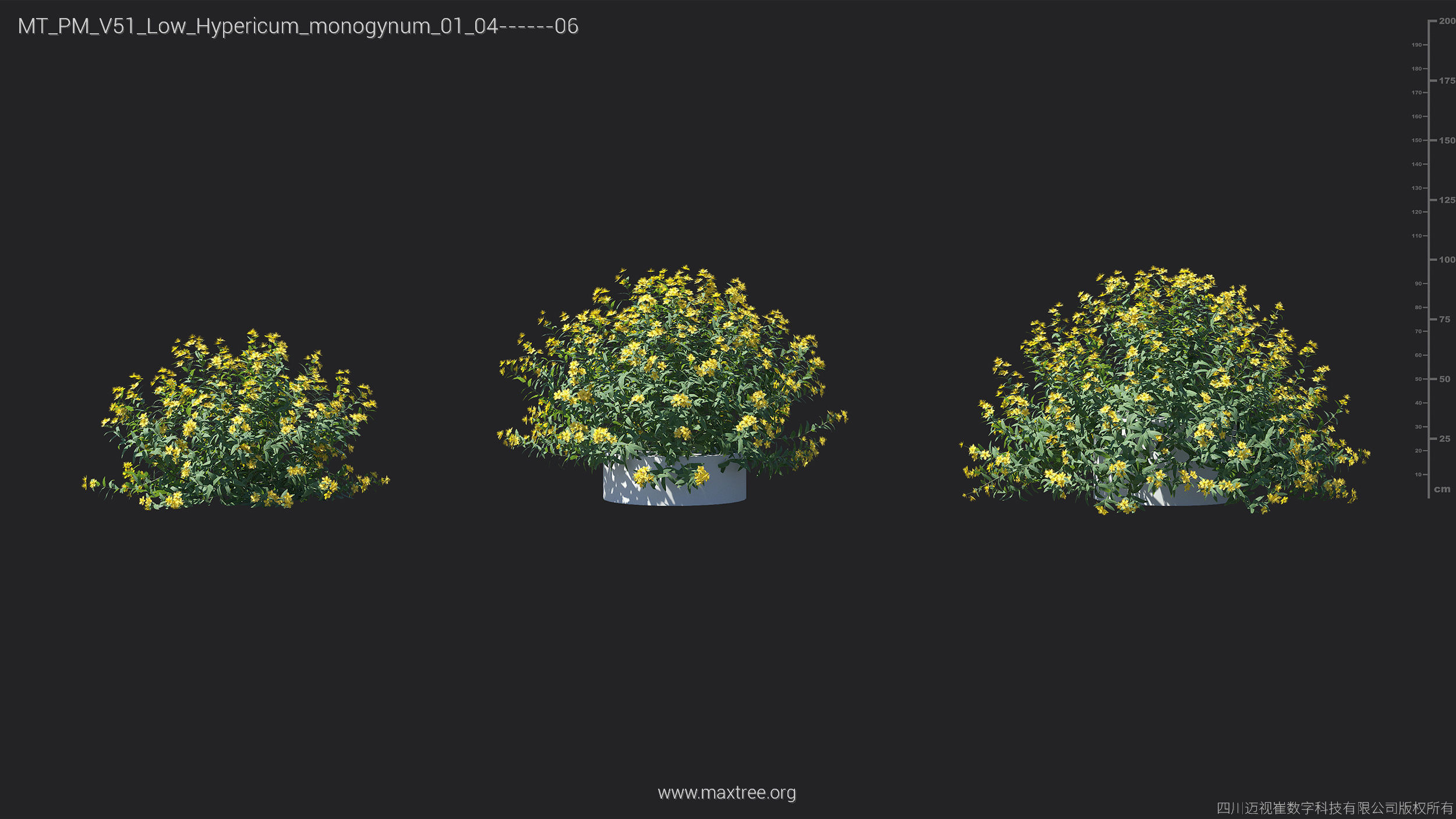 Maxtree Plant Models Vol 51 Low Poly - Mesh 3D model_18