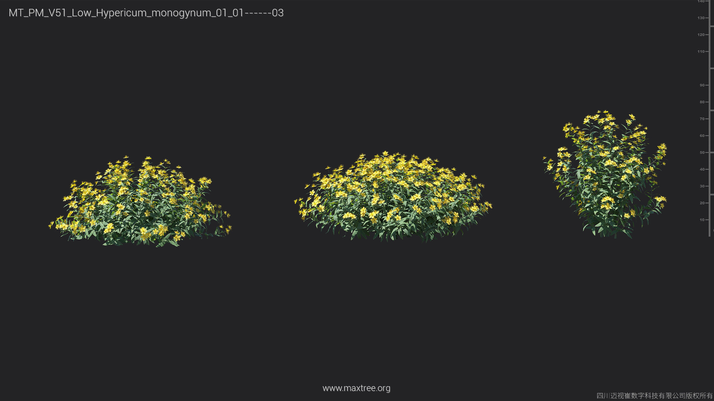 Maxtree Plant Models Vol 51 Low Poly - Mesh 3D model_25