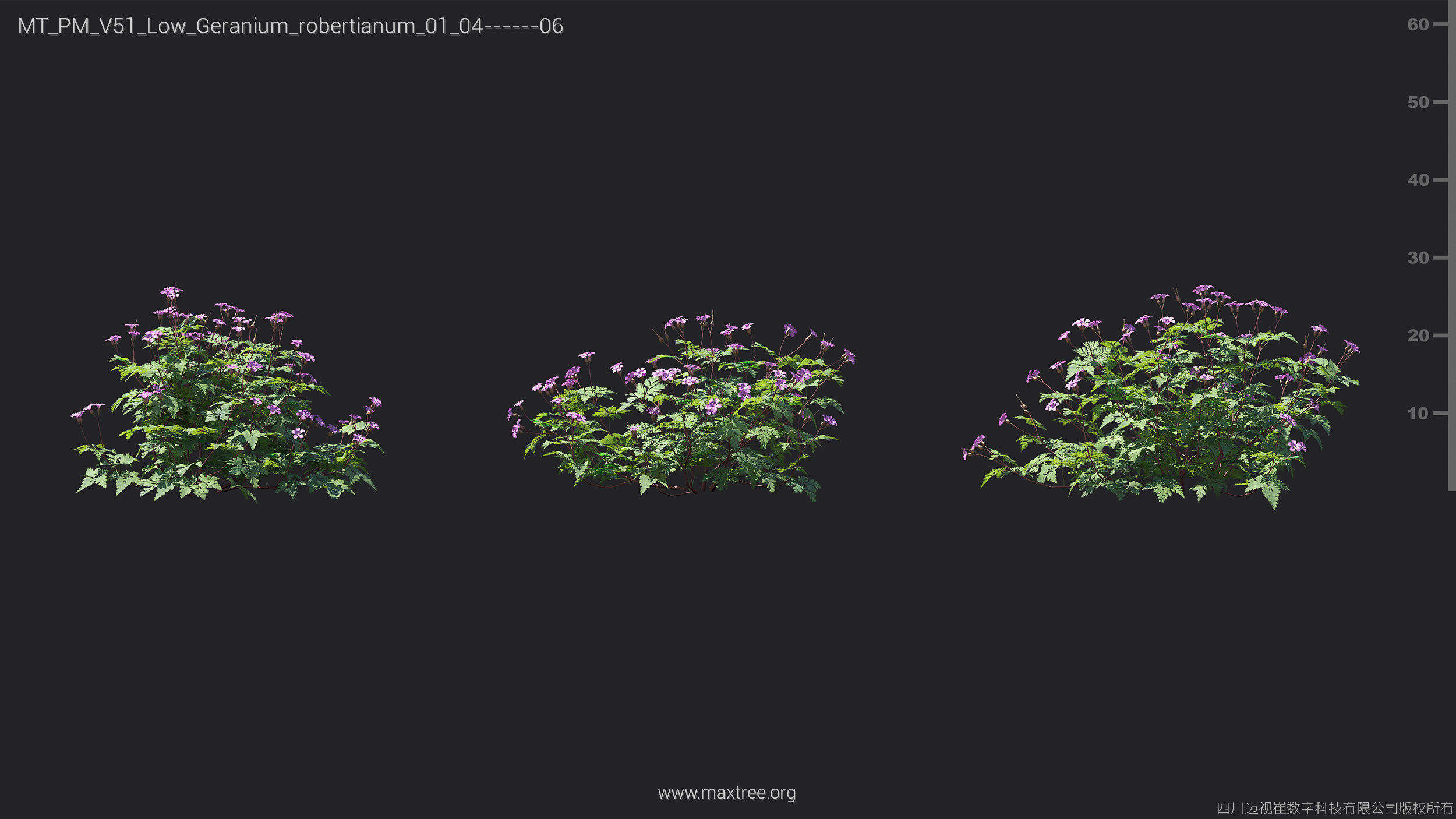 Maxtree Plant Models Vol 51 Low Poly - Mesh 3D model_23