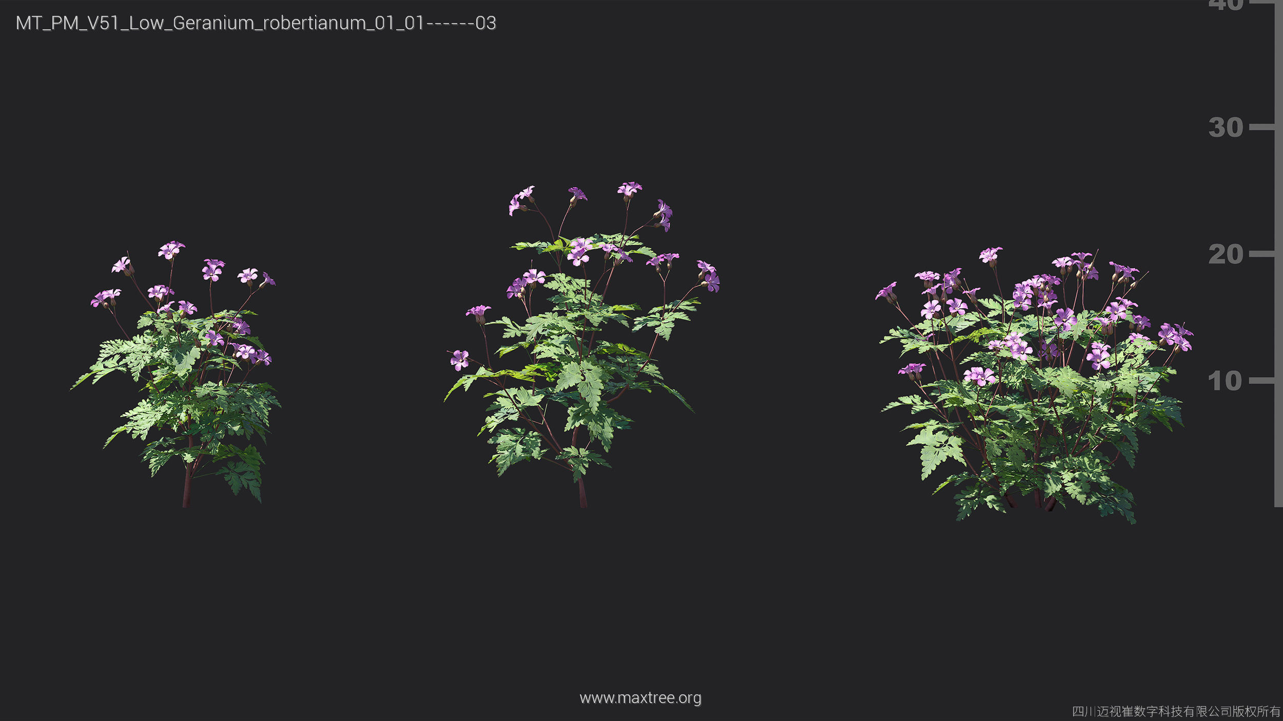 Maxtree Plant Models Vol 51 Low Poly - Mesh 3D model_24