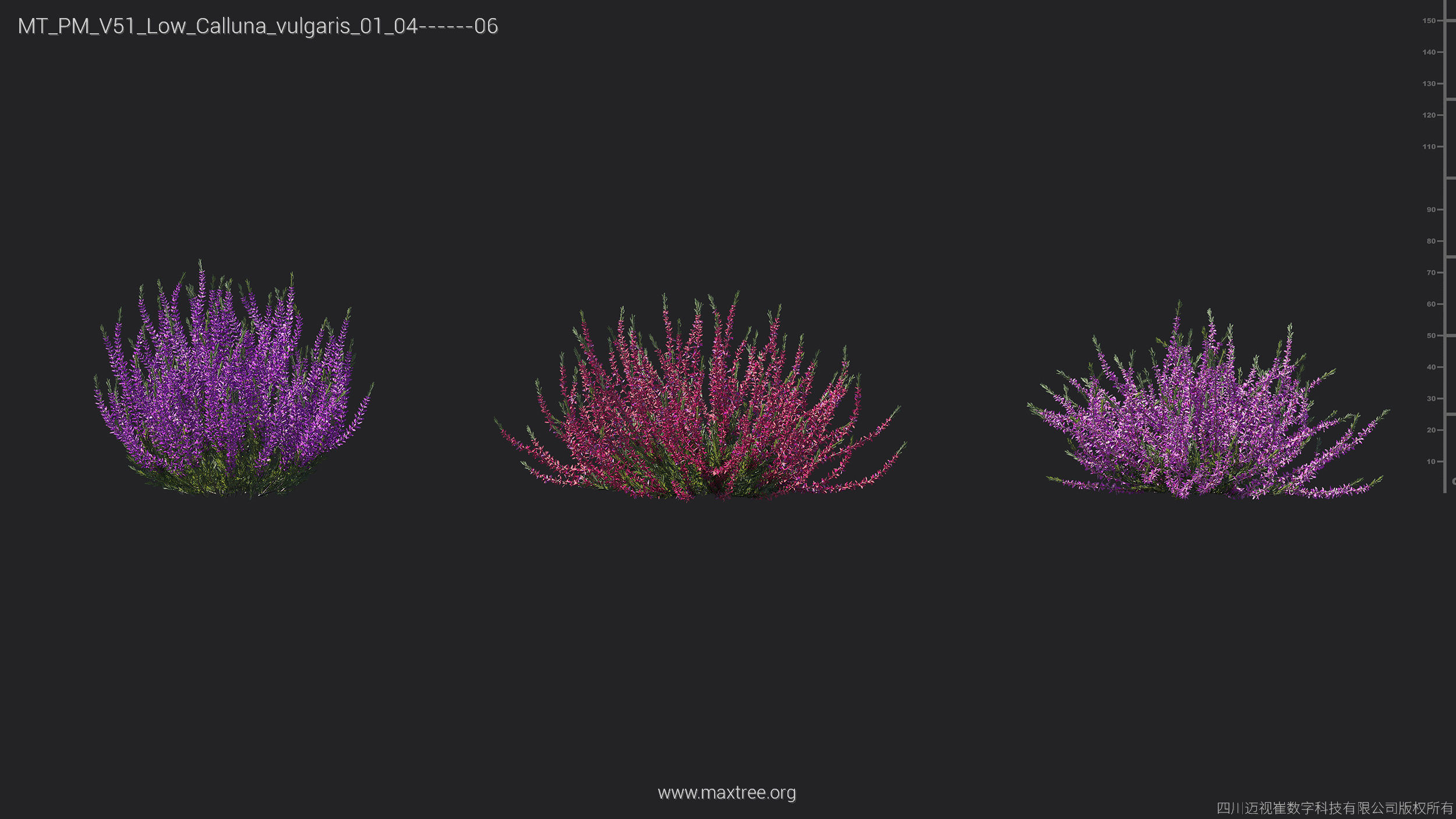 Maxtree Plant Models Vol 51 Low Poly - Mesh 3D model_7