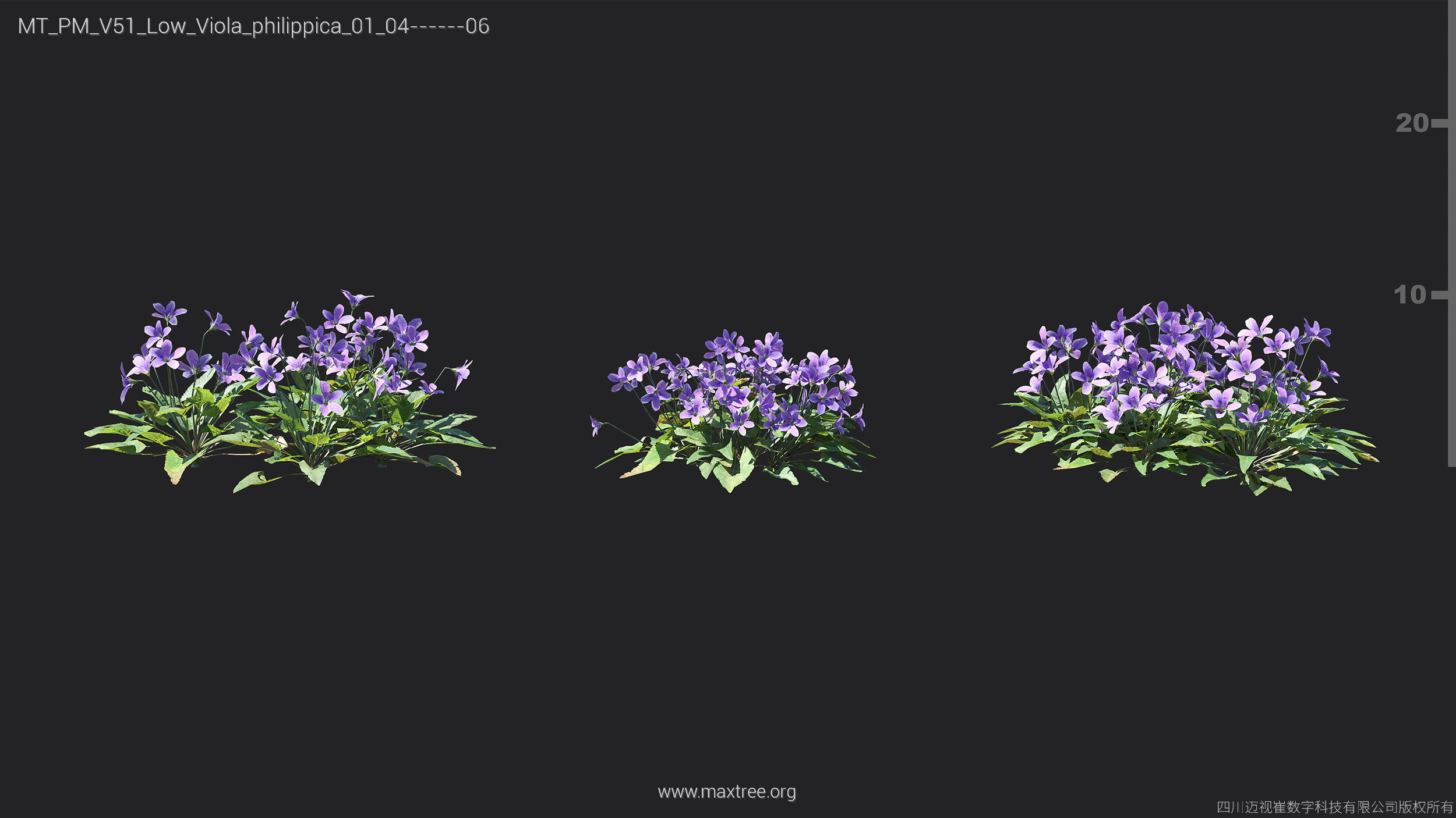Maxtree Plant Models Vol 51 Low Poly - Mesh 3D model_21