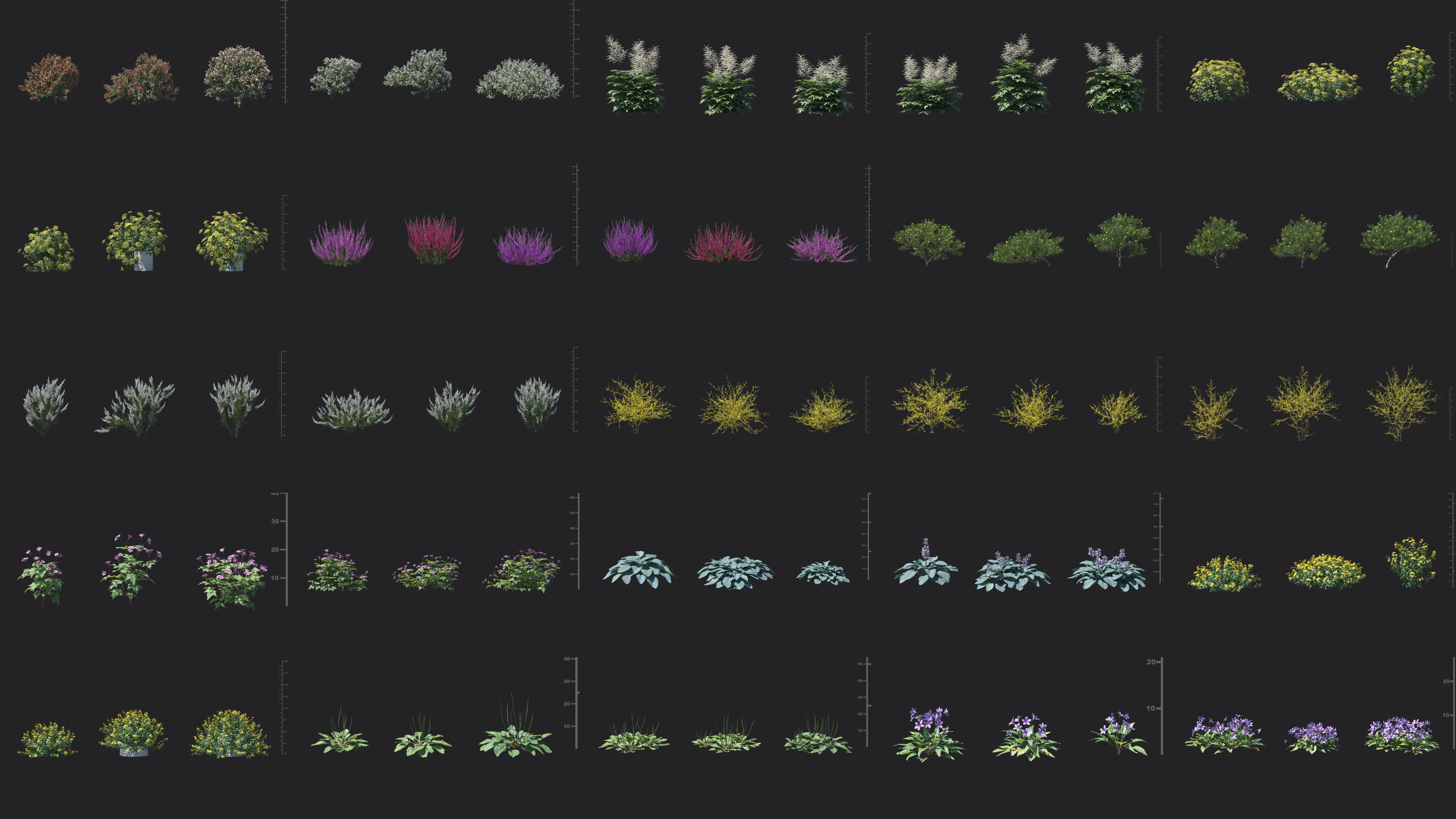 Maxtree Plant Models Vol 51 Low Poly - Mesh 3D model_2