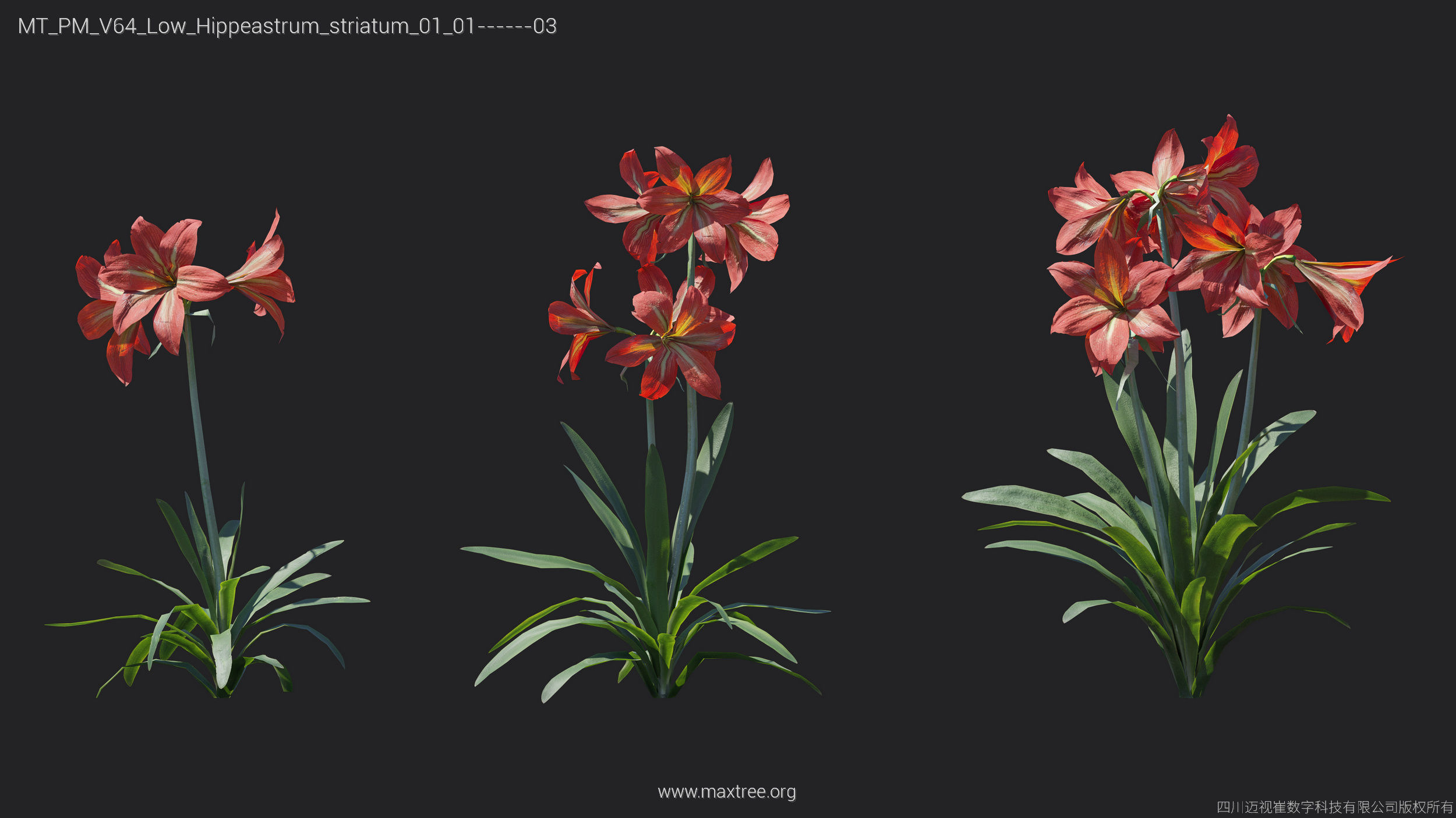 Maxtree Plant Models Vol 64 Low Poly - Mesh 3D model_9