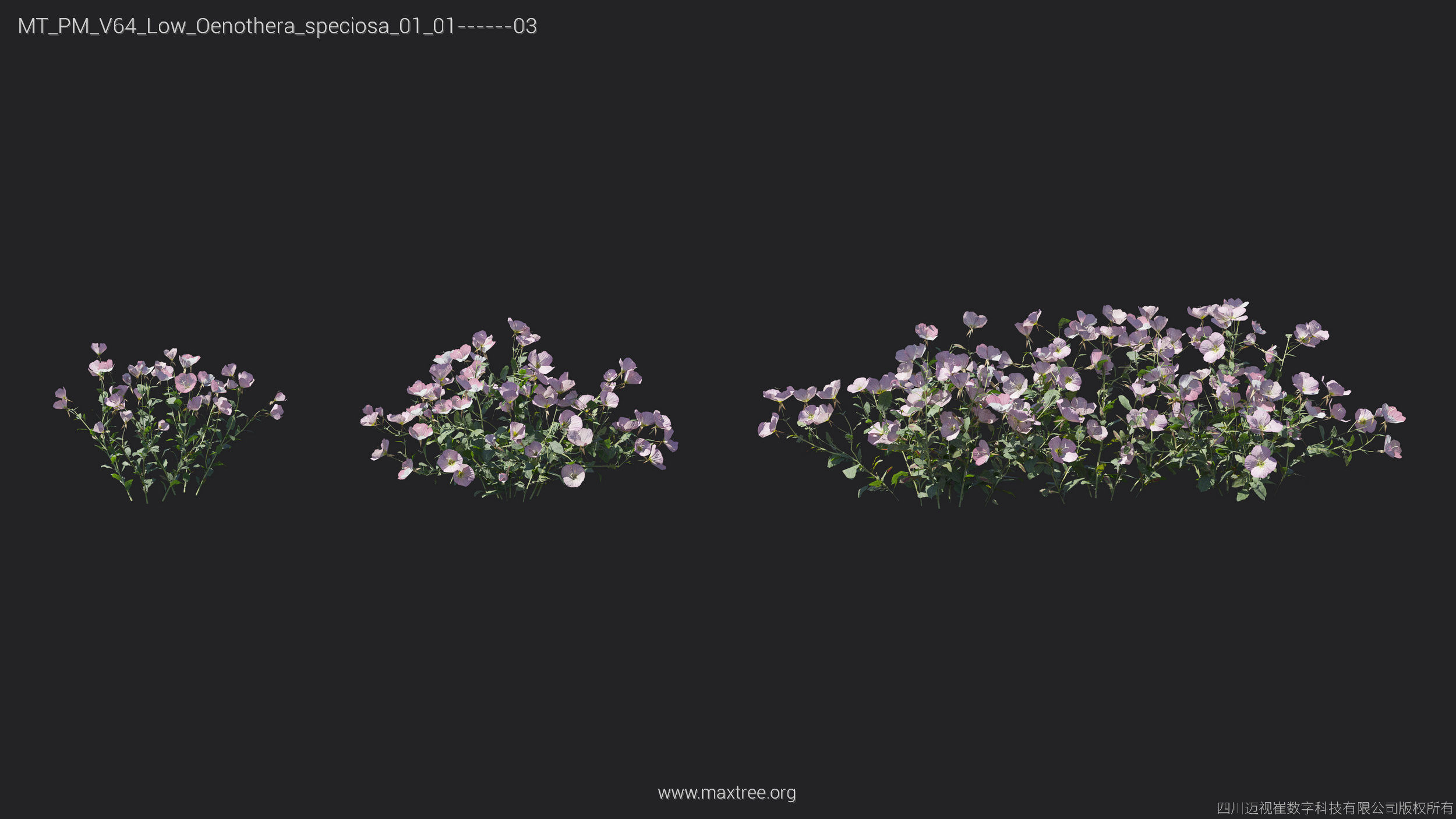 Maxtree Plant Models Vol 64 Low Poly - Mesh 3D model_17