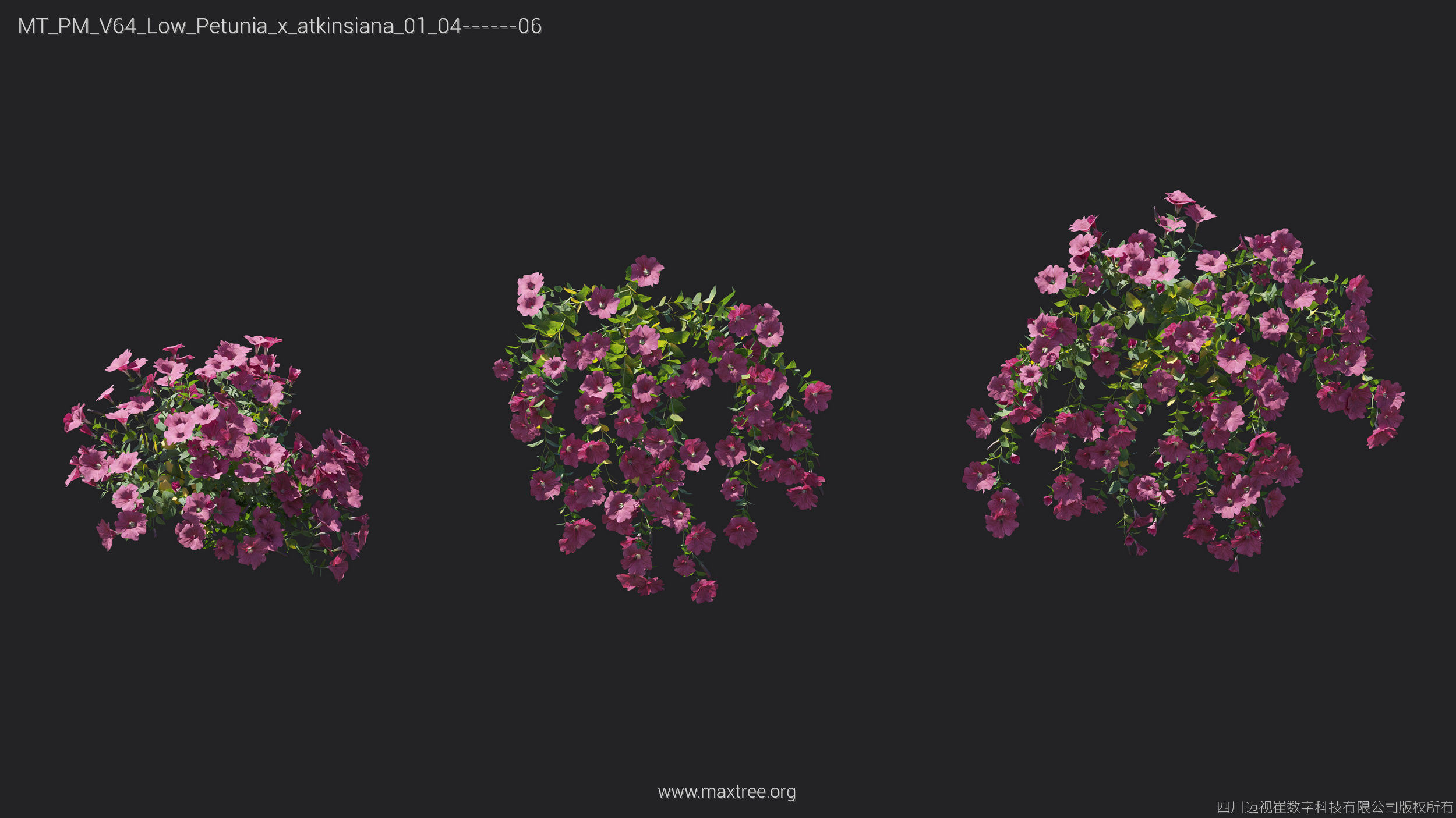 Maxtree Plant Models Vol 64 Low Poly - Mesh 3D model_24