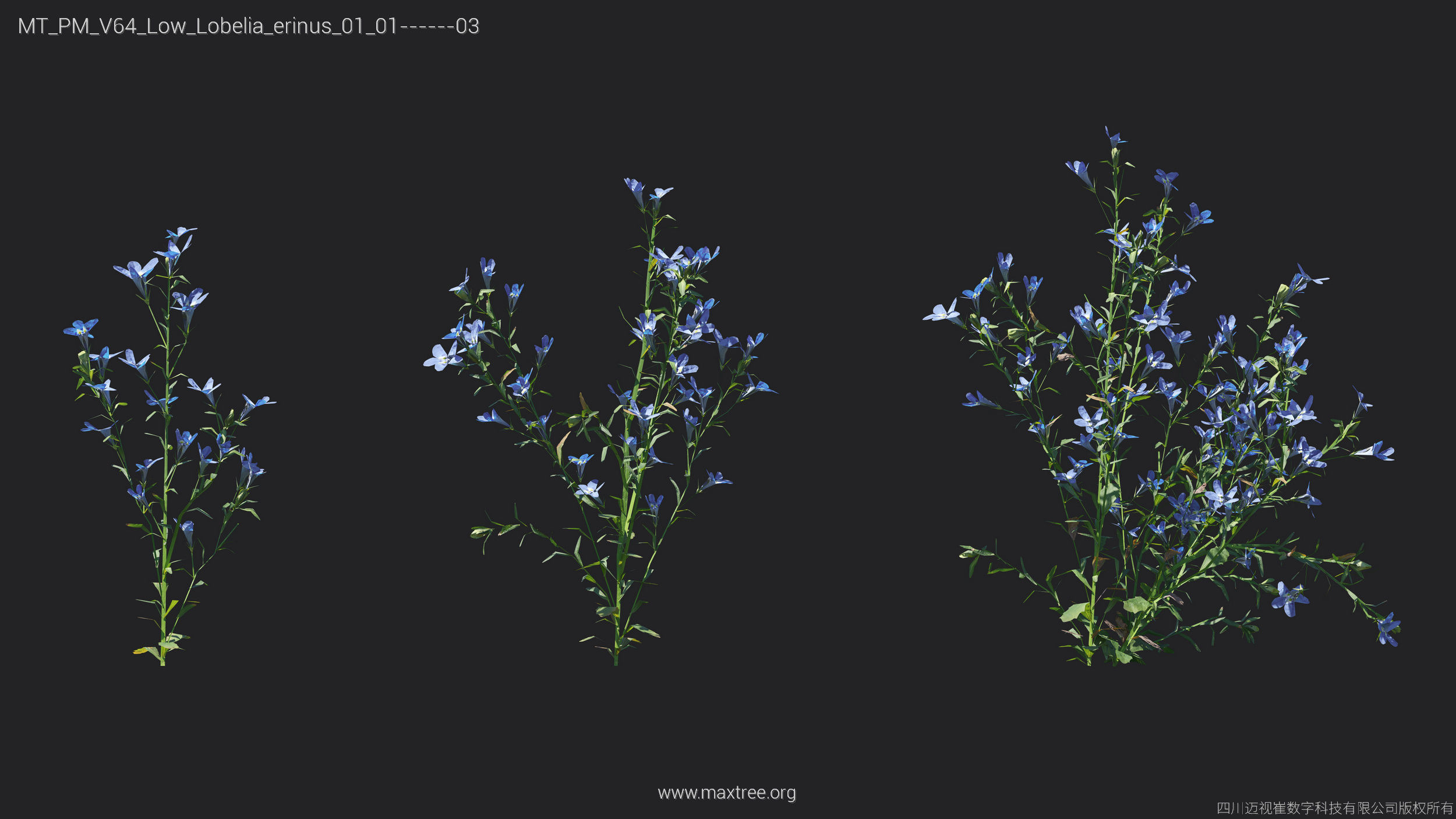 Maxtree Plant Models Vol 64 Low Poly - Mesh 3D model_11