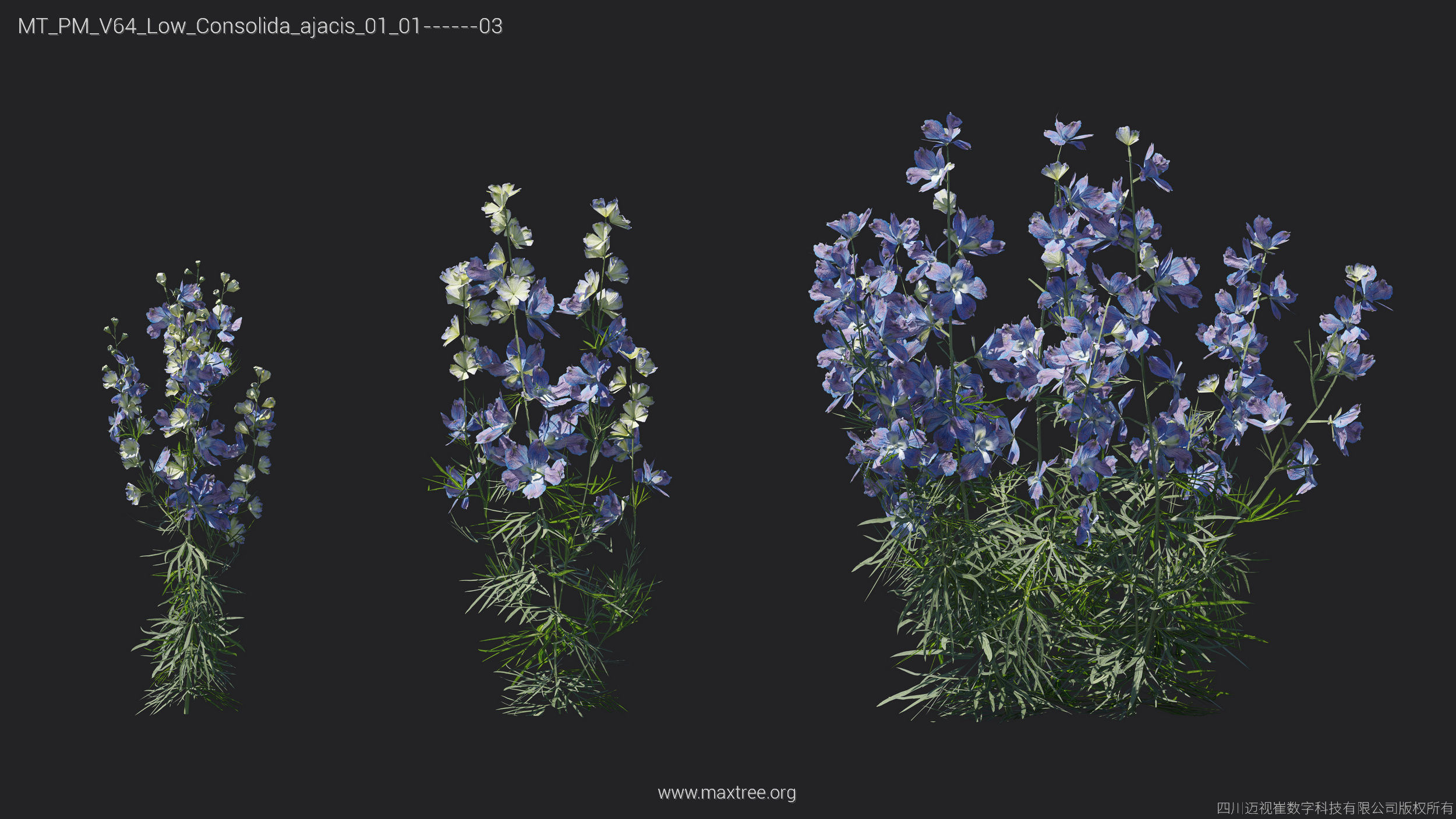 Maxtree Plant Models Vol 64 Low Poly - Mesh 3D model_5