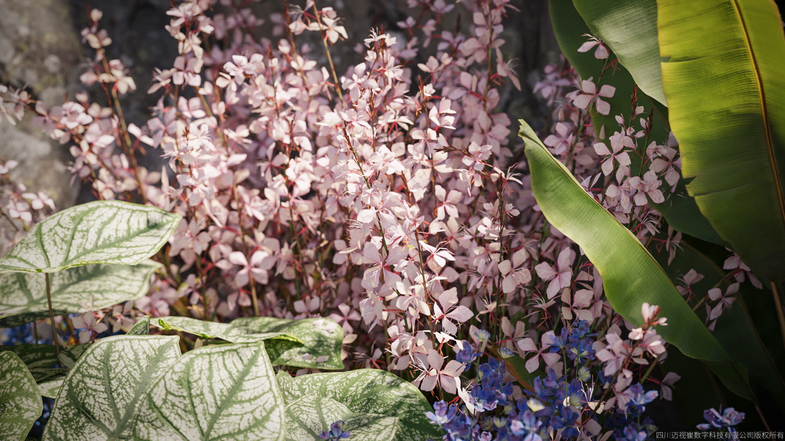 Maxtree Plant Models Vol 64 Low Poly - Mesh 3D model_1