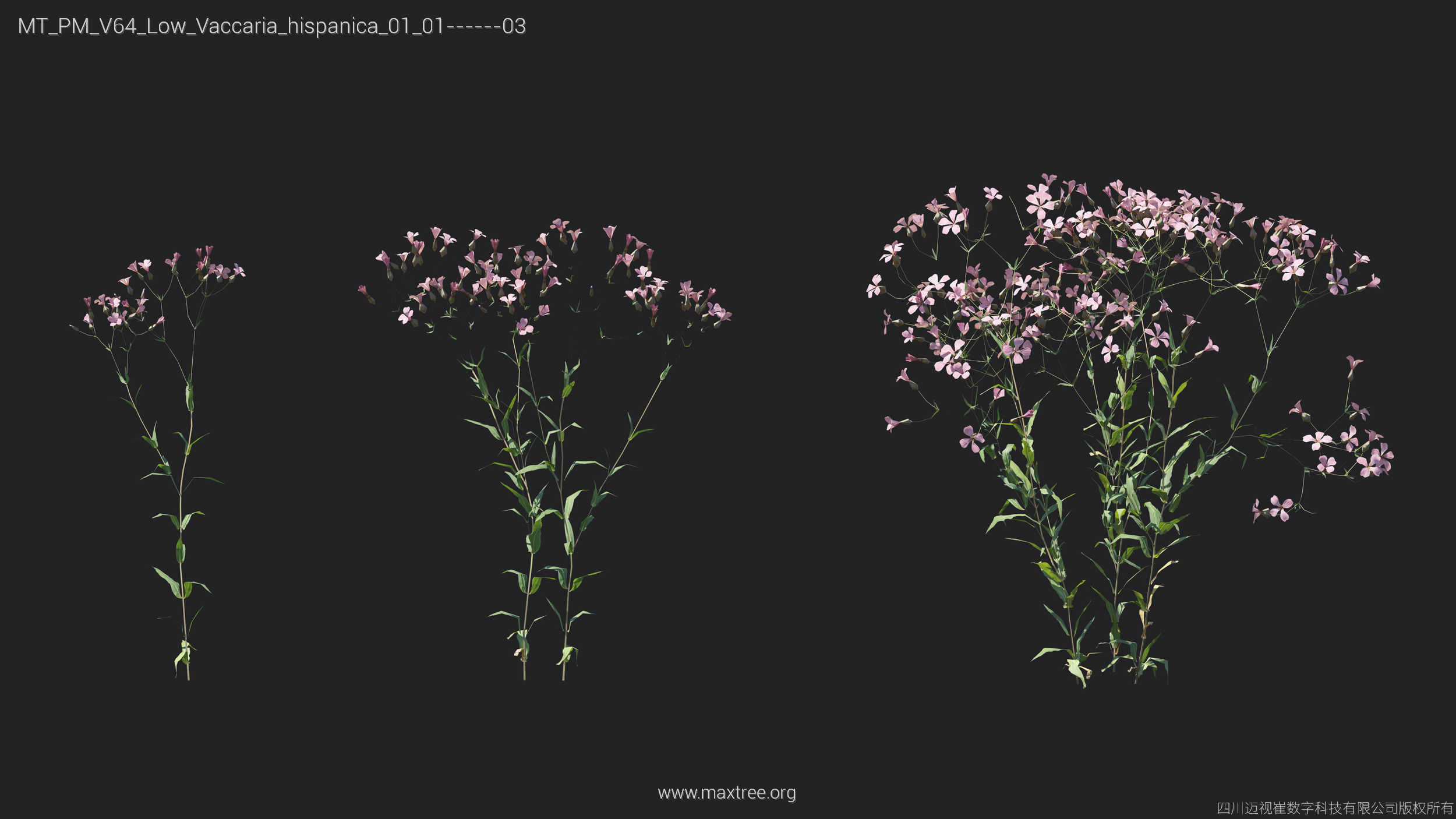 Maxtree Plant Models Vol 64 Low Poly - Mesh 3D model_25