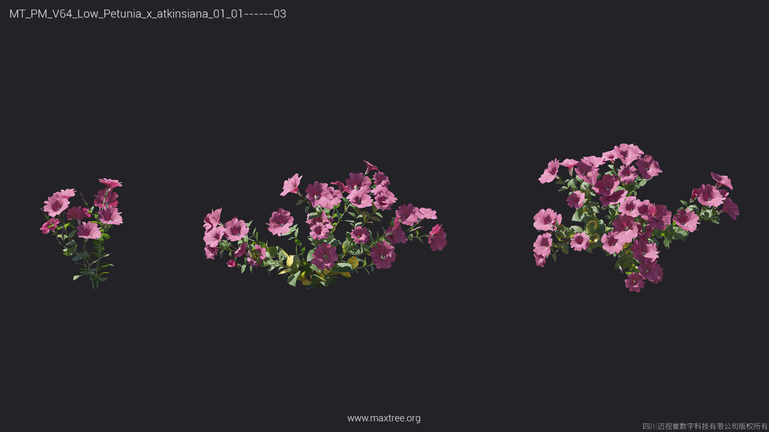 Maxtree Plant Models Vol 64 Low Poly - Mesh 3D model_23