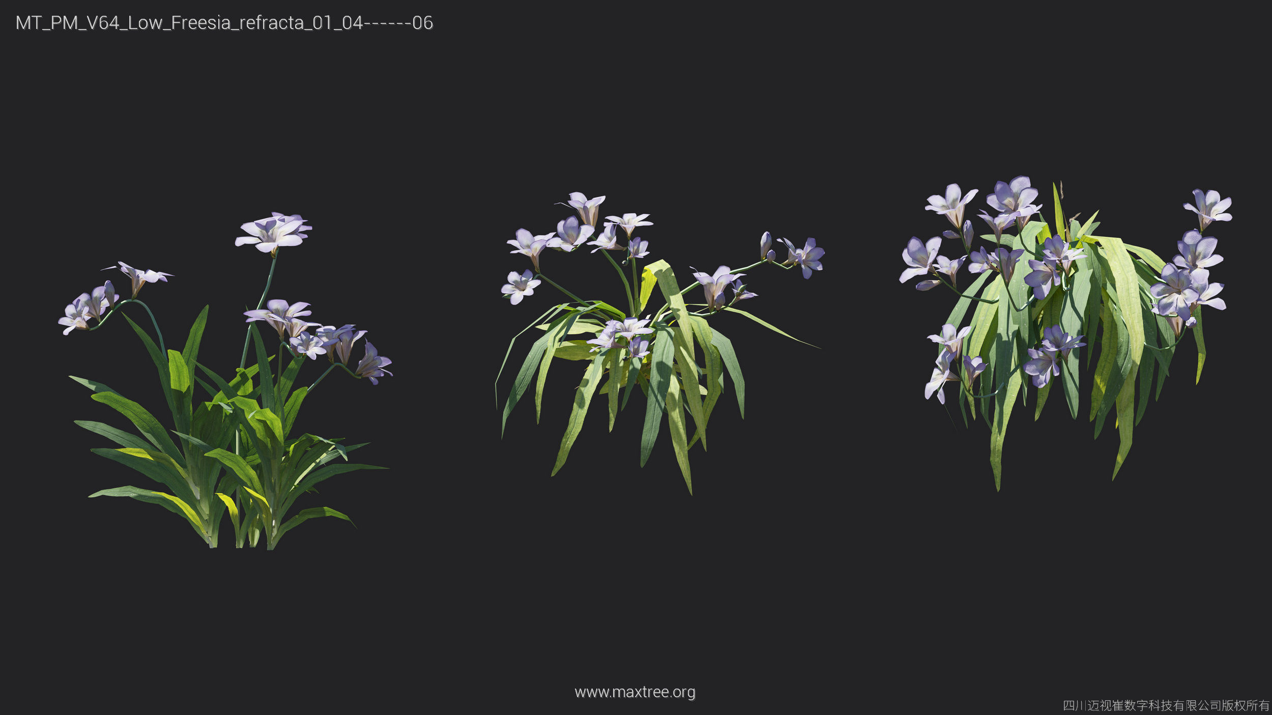 Maxtree Plant Models Vol 64 Low Poly - Mesh 3D model_8