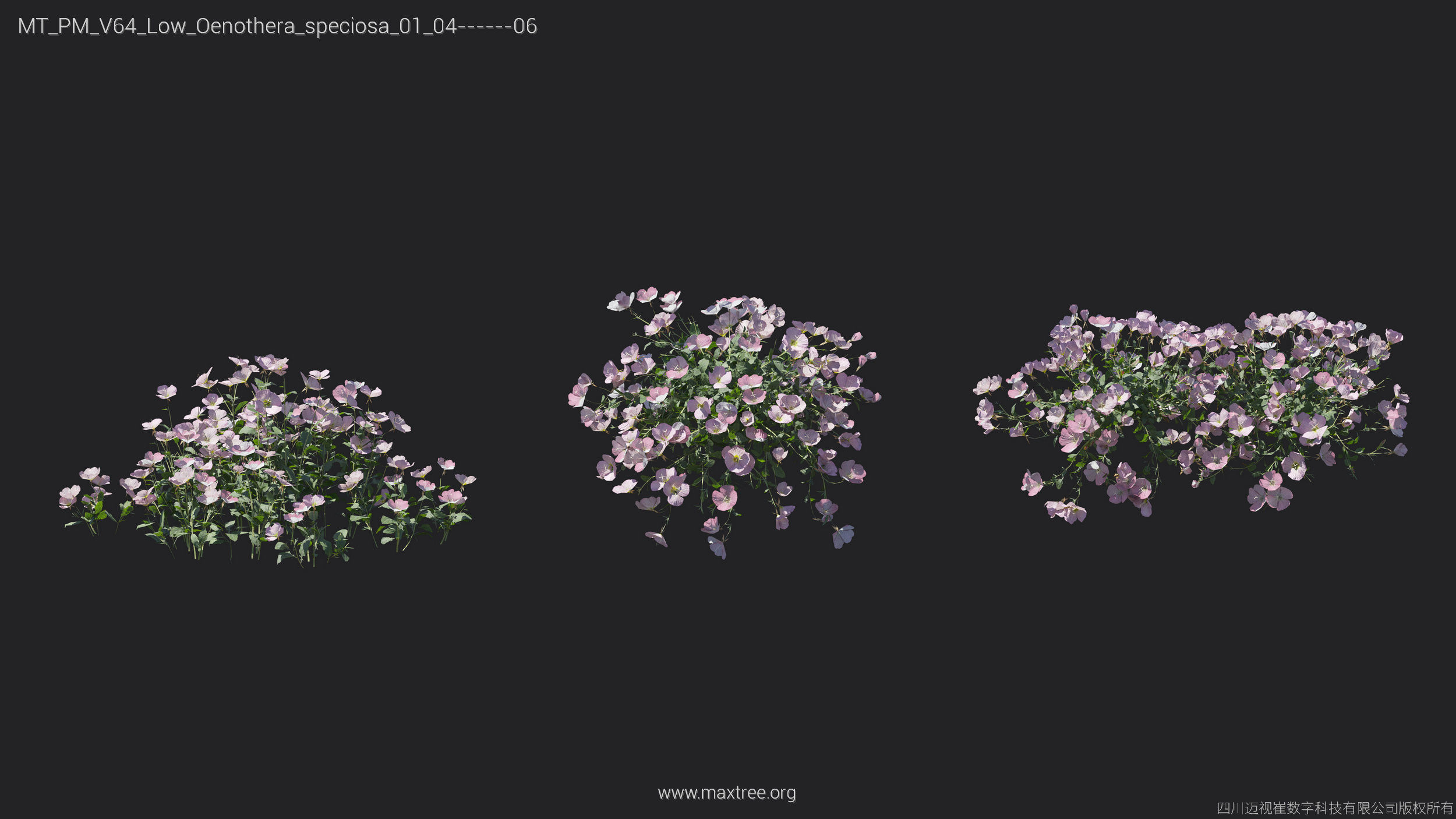 Maxtree Plant Models Vol 64 Low Poly - Mesh 3D model_18