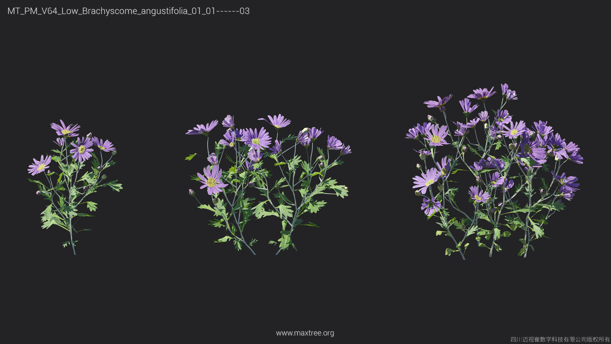 Maxtree Plant Models Vol 64 Low Poly - Mesh 3D model_3