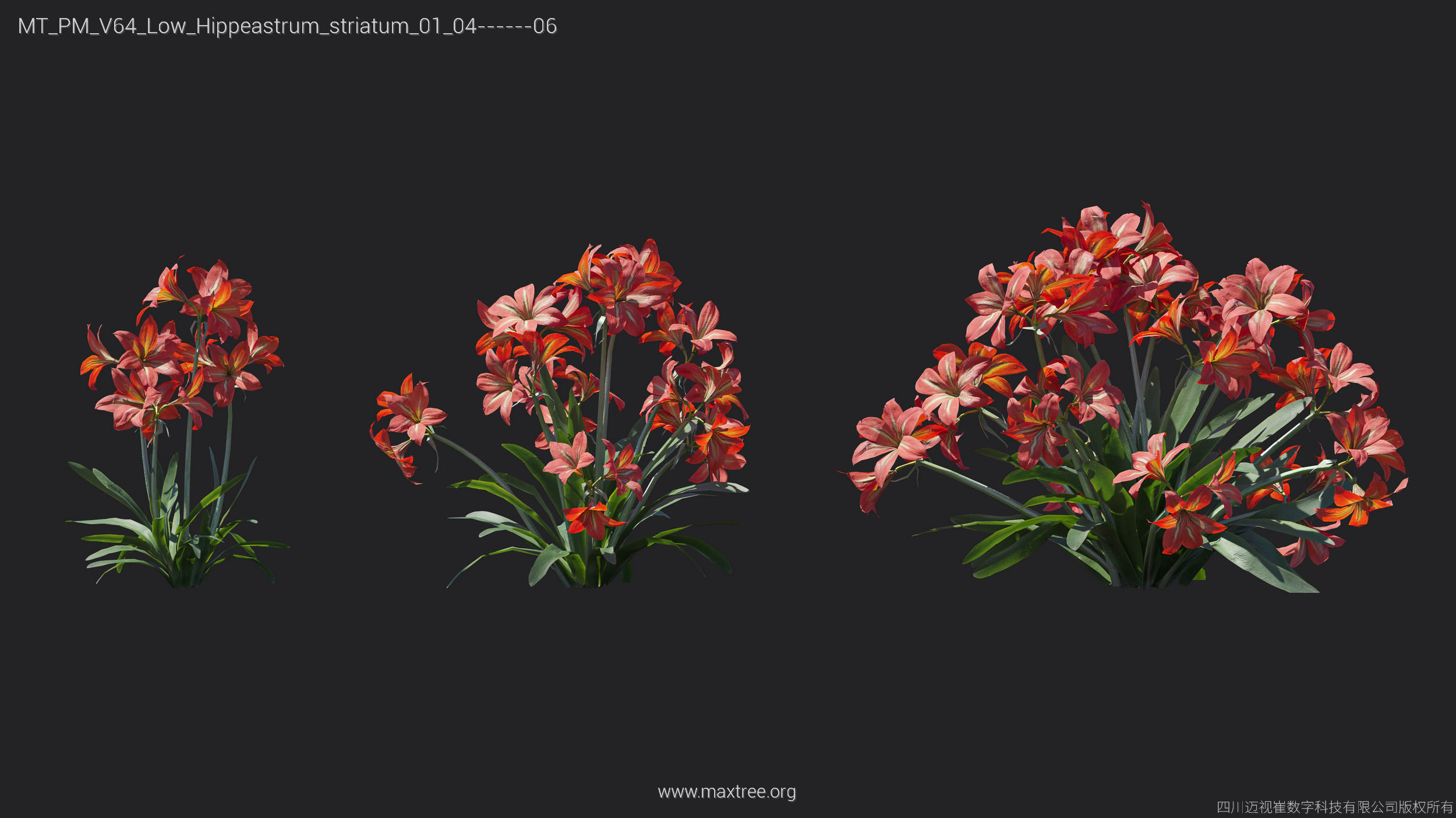 Maxtree Plant Models Vol 64 Low Poly - Mesh 3D model_10