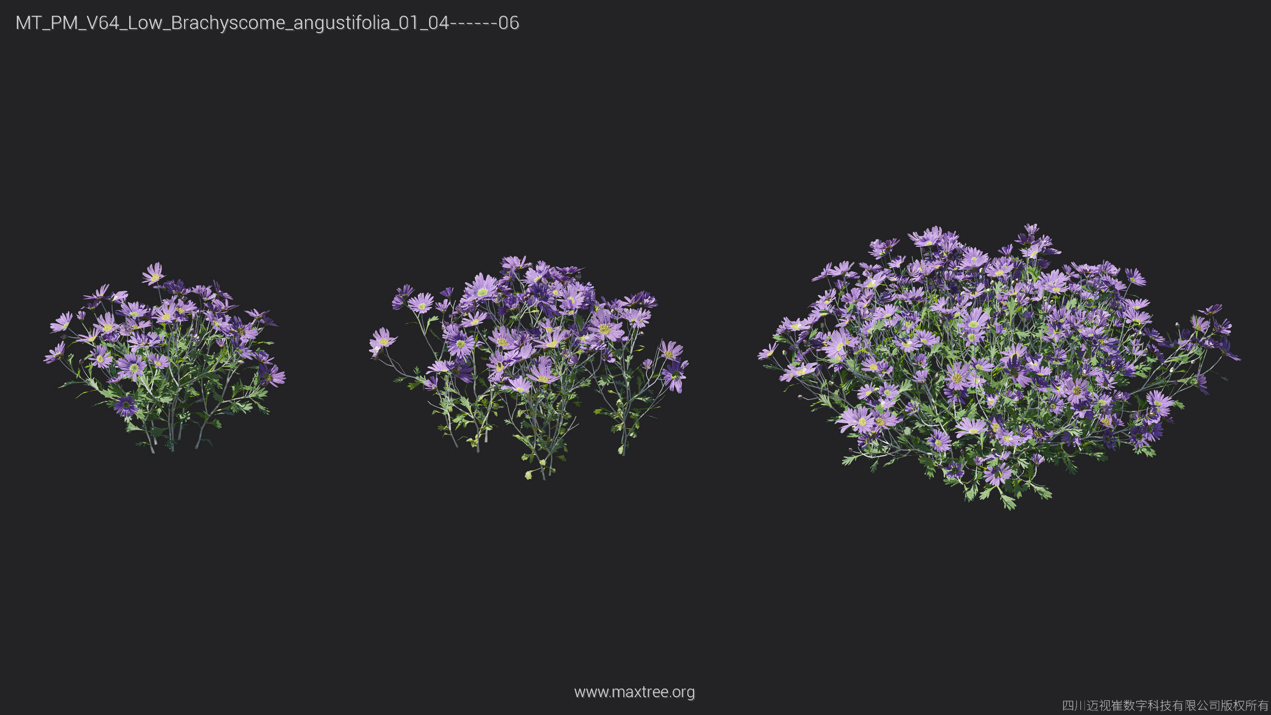 Maxtree Plant Models Vol 64 Low Poly - Mesh 3D model_4