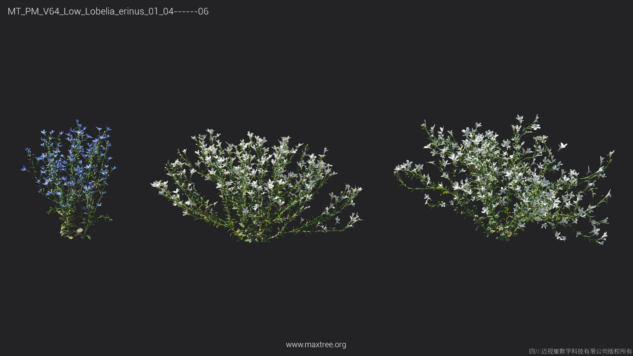 Maxtree Plant Models Vol 64 Low Poly - Mesh 3D model_12