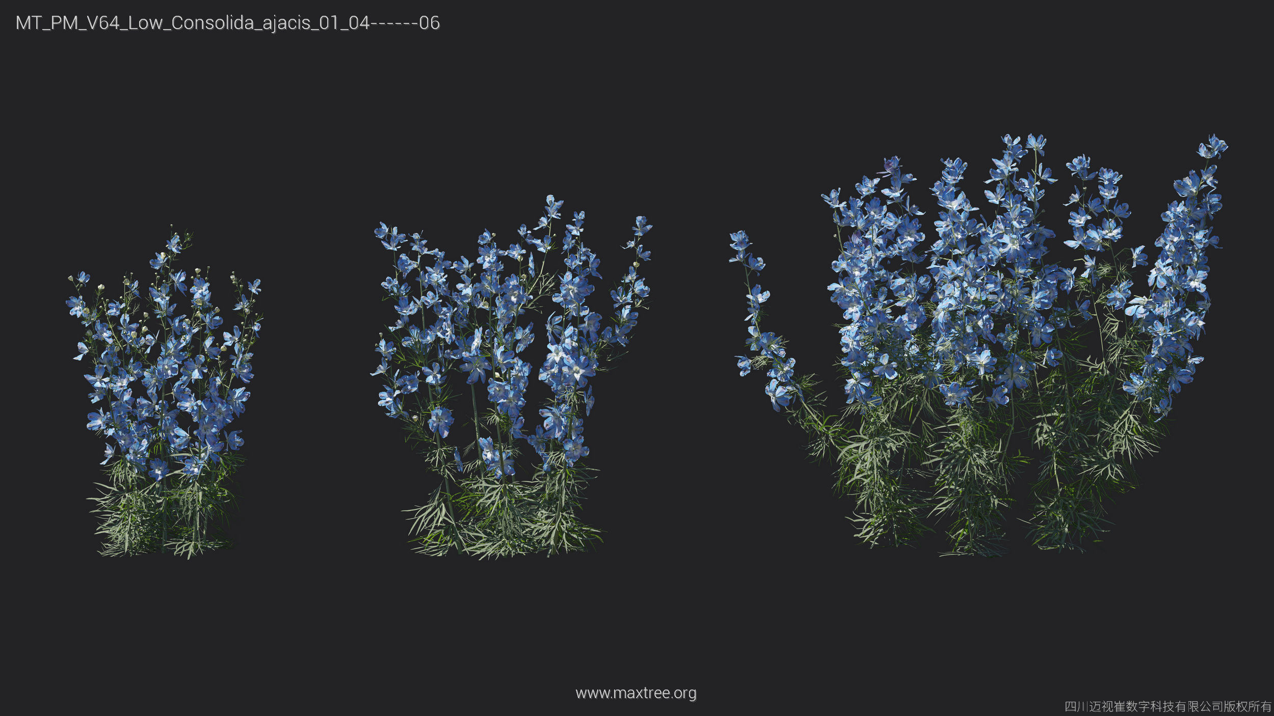 Maxtree Plant Models Vol 64 Low Poly - Mesh 3D model_6