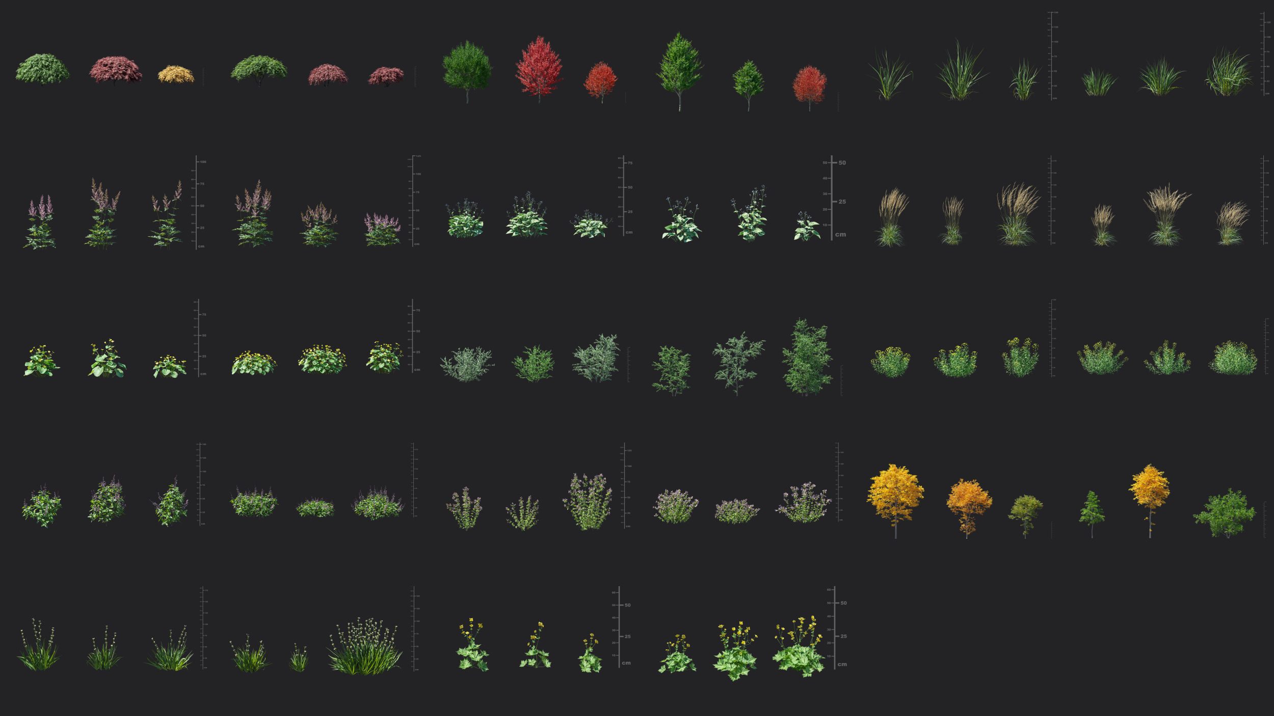 Maxtree Plant Models Vol 65 Low Poly - Mesh 3D model_2