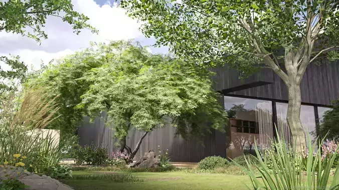 Maxtree Plant Models Vol 65 Low Poly - Mesh