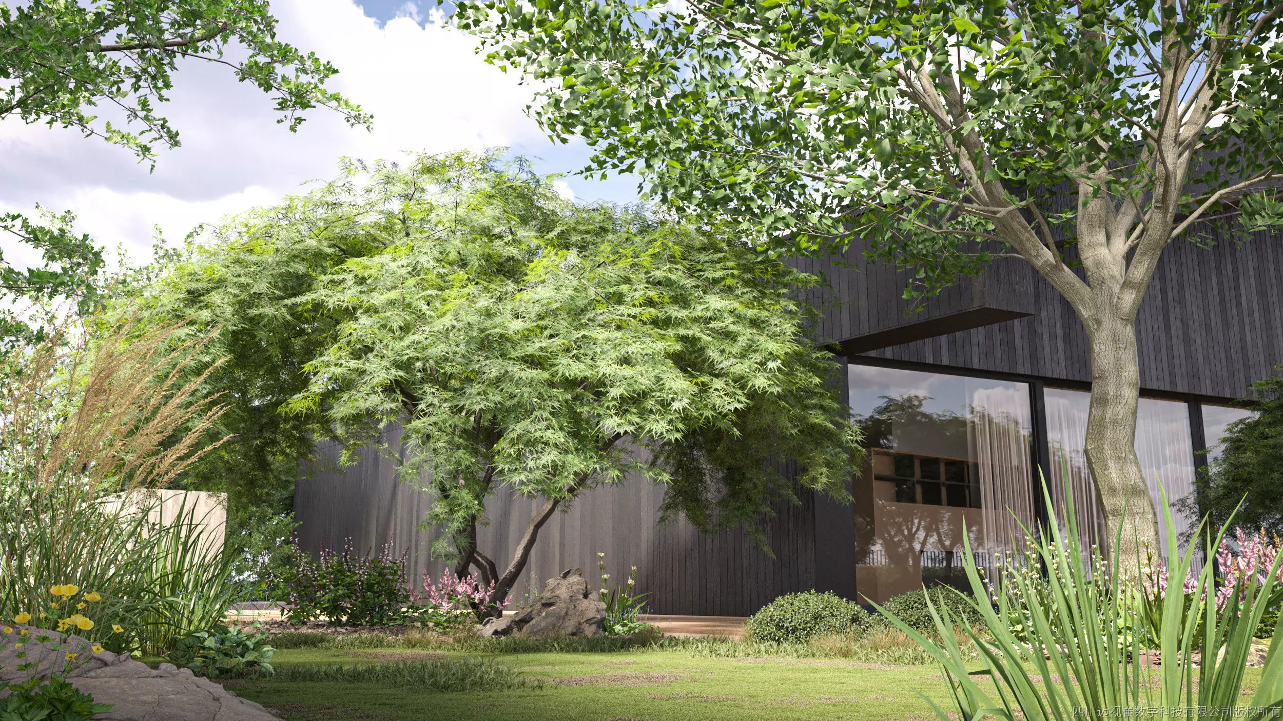 Maxtree Plant Models Vol 65 Low Poly - Mesh 3D model_0