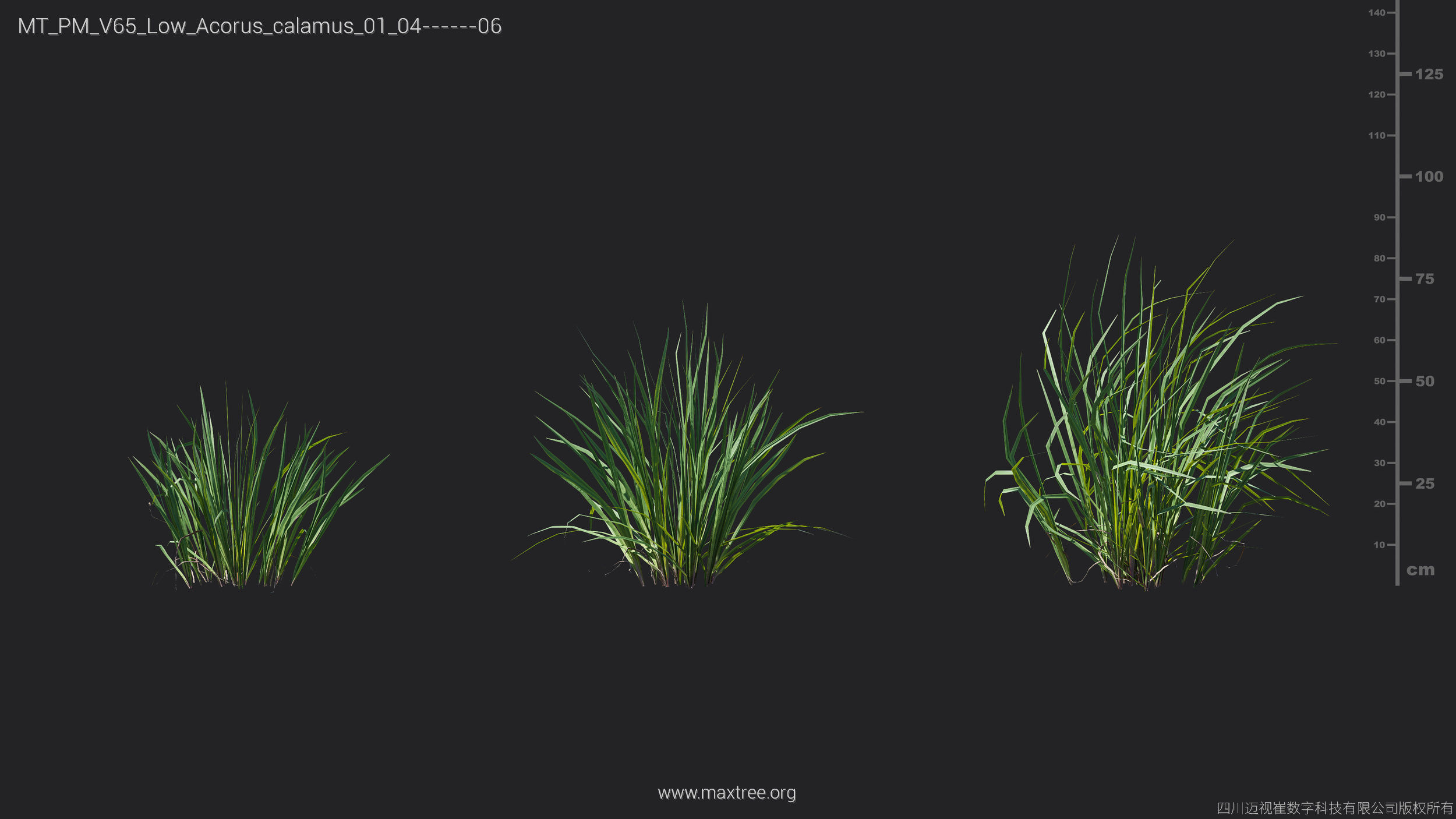 Maxtree Plant Models Vol 65 Low Poly - Mesh 3D model_8