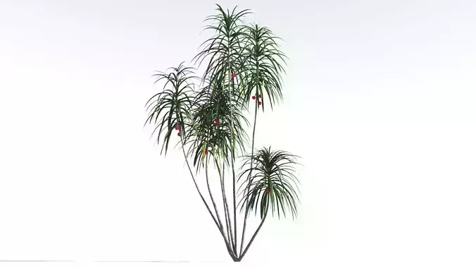 EVERYPlant Scrub Breadfruit 3 --18 Models-- 3D model