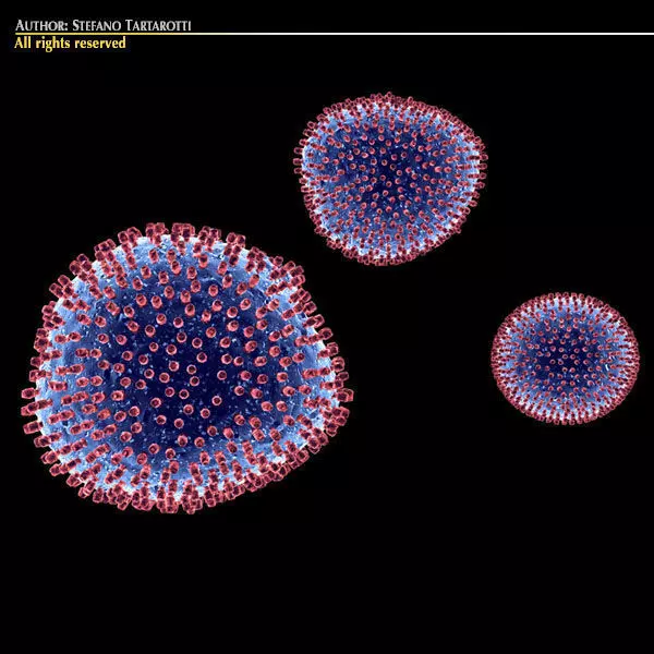 Lymphocytic choriomeningitis 3D model_0