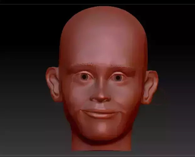 Kevin Mccallister head  Macaulay Culkin  Alone at home