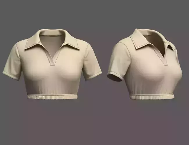 Crop Top 3d Model