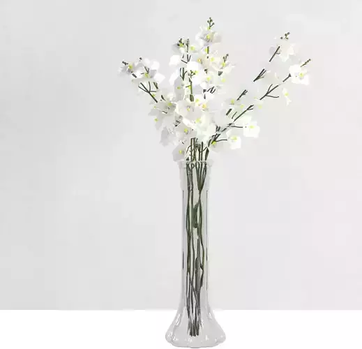 Glass vase with white orchid flowers