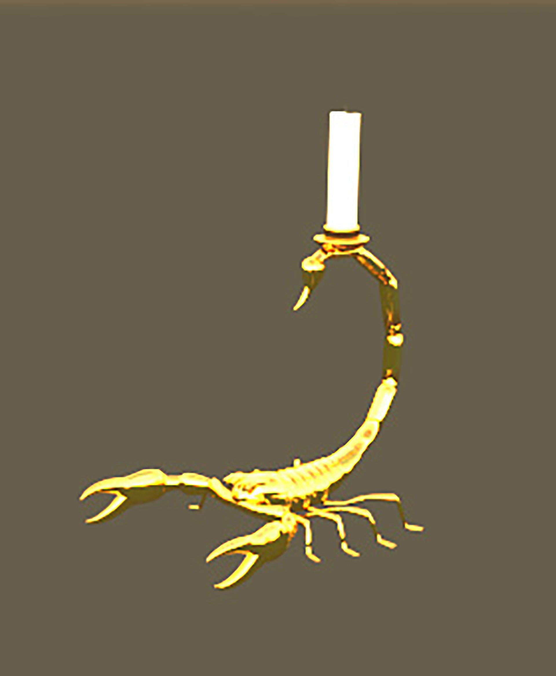 Scorpion style 3D Model Collection_19
