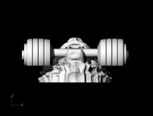 Tiger Head  3D print model_3