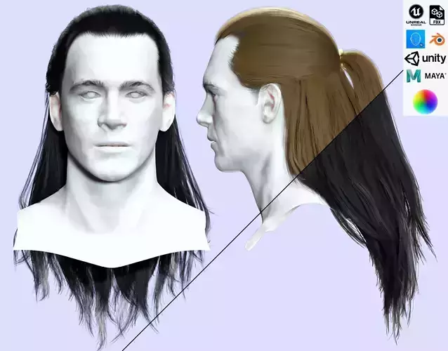 Long Male Hair - Ponytail Half Up