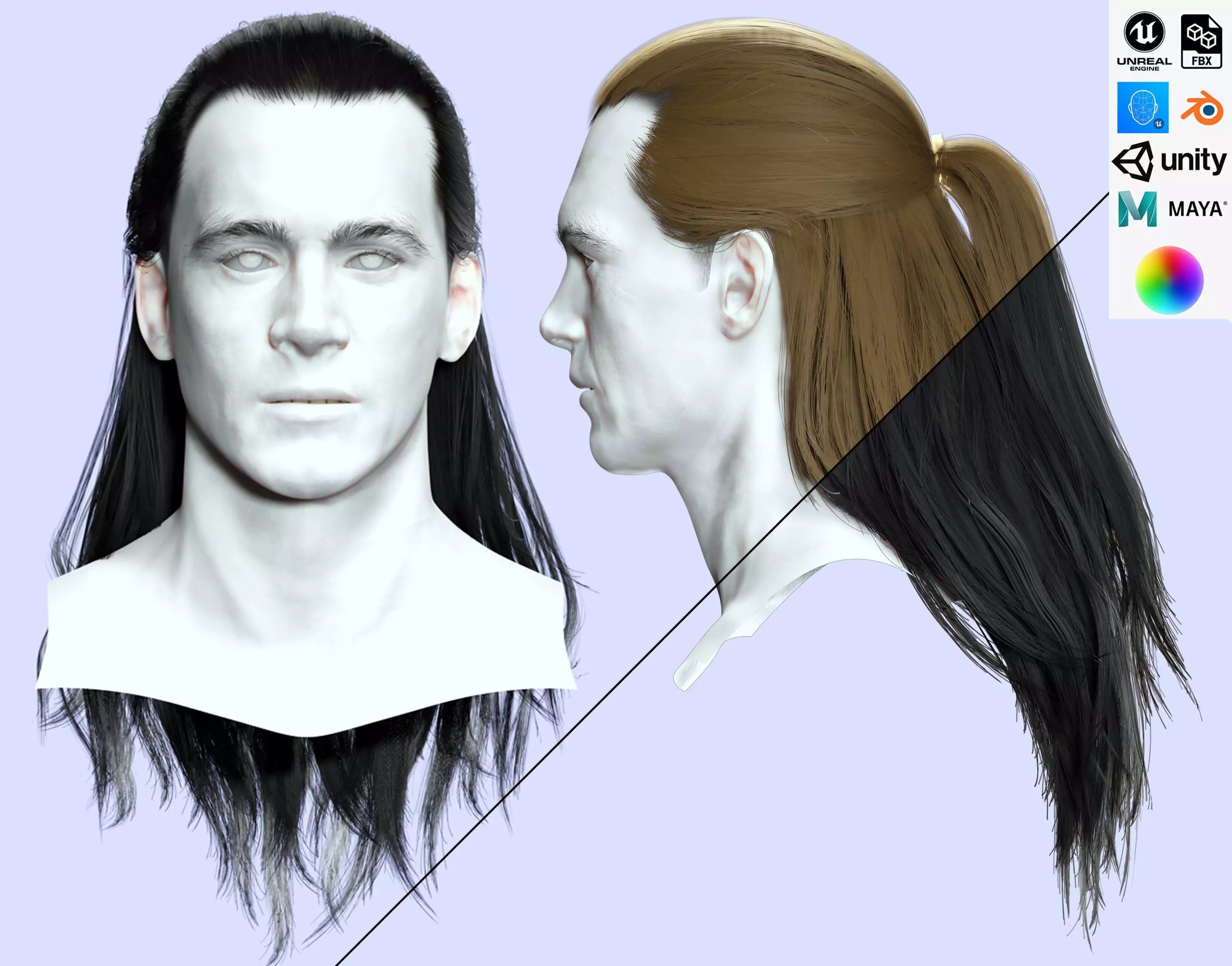 Long Male Hair - Ponytail Half Up Low-poly 3D model
