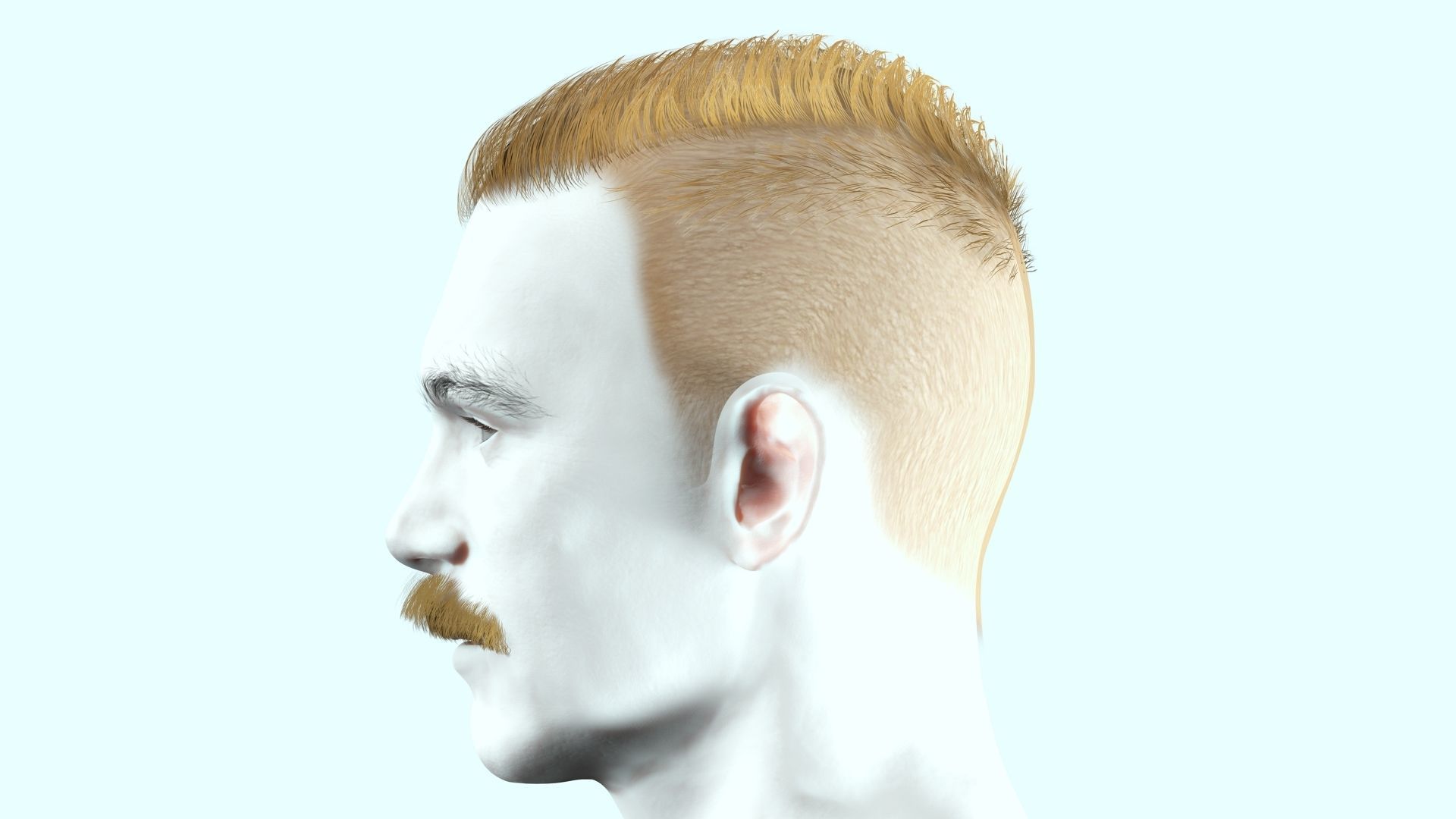 Classic Male Hair With Mustache Low-poly 3D model_5