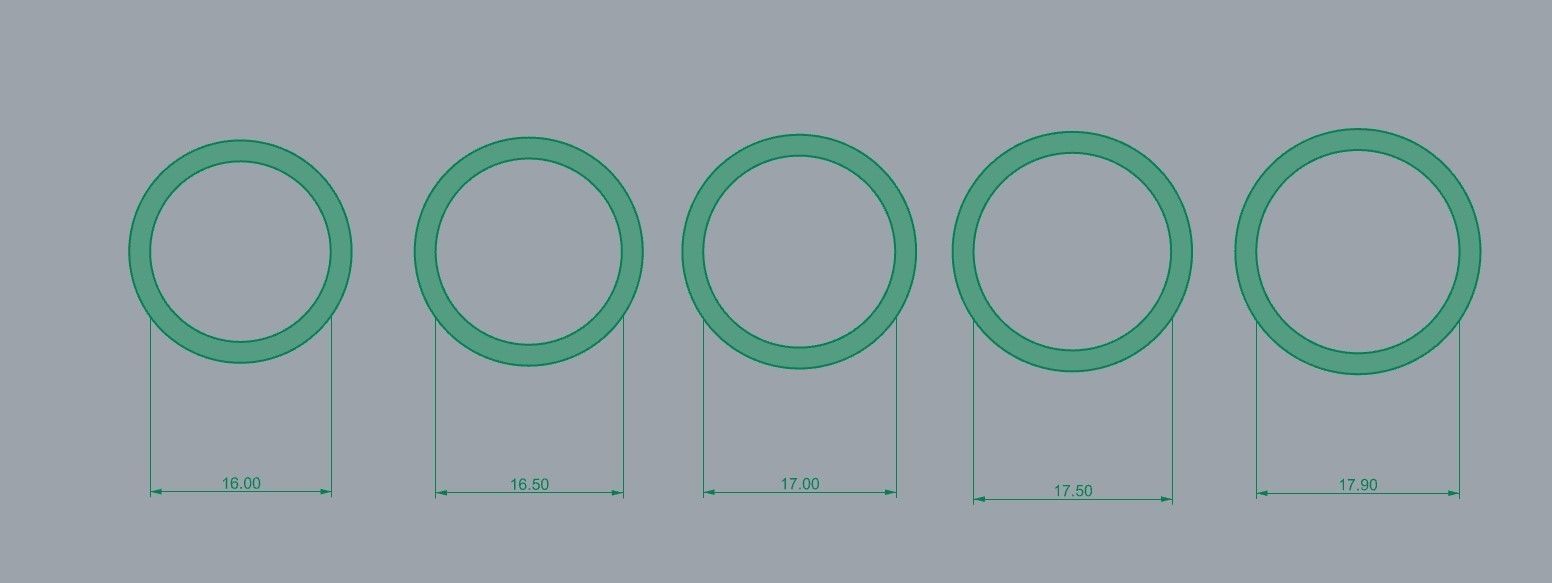 Cartier ring 3D print model   16-18 SIZE 3D print model_2