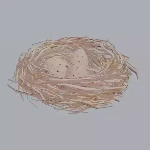 Nest bird