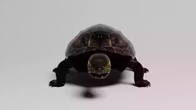 Realistic Turtle high res 3D model 3D model