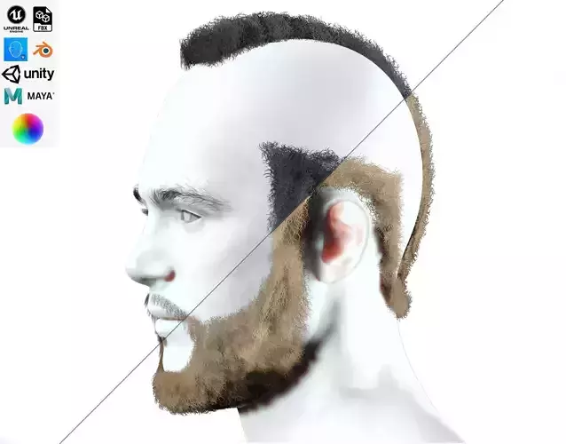 Realistic Male Hairstyle