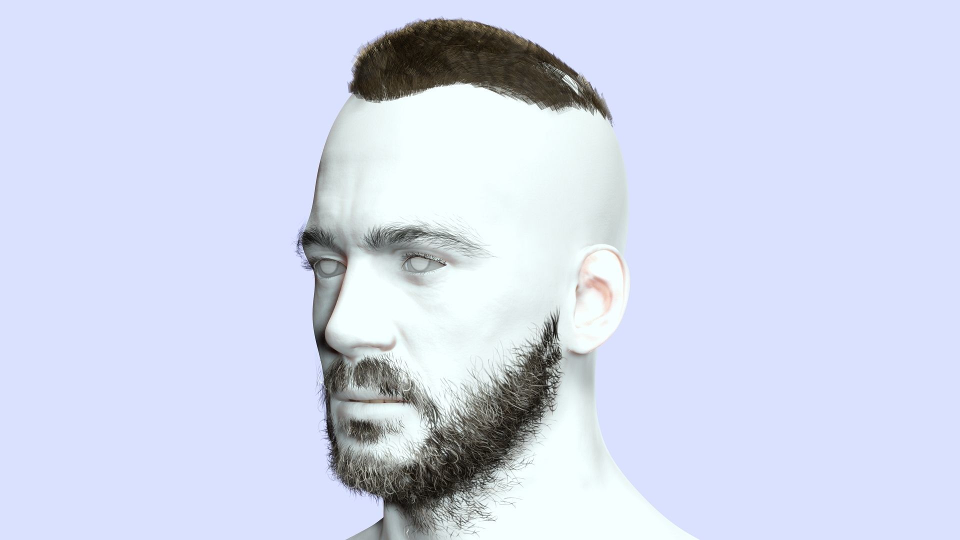 Realistic Male Hair - Buzz Hair Cut Low-poly 3D model_7