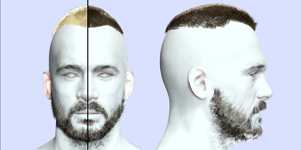 Realistic Male Hair - Buzz Hair Cut Low-poly 3D model_1
