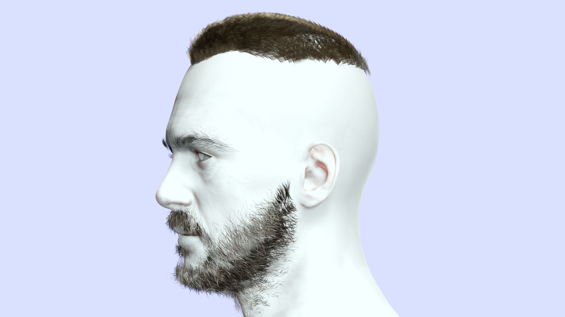 Realistic Male Hair - Buzz Hair Cut Low-poly 3D model_8